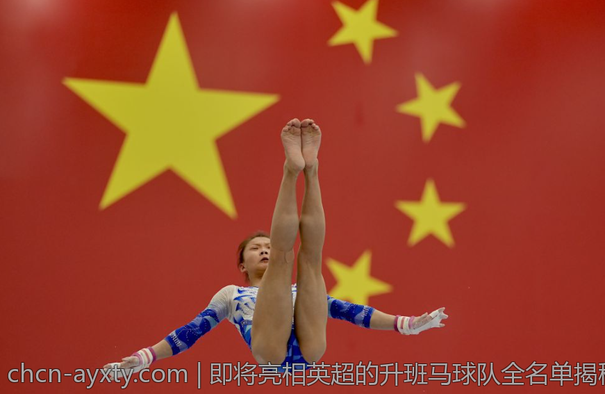 即将亮相英超的升班马球队全名单揭秘