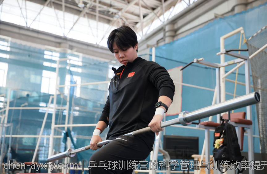 乒乓球训练营的科学管理与训练效率提升