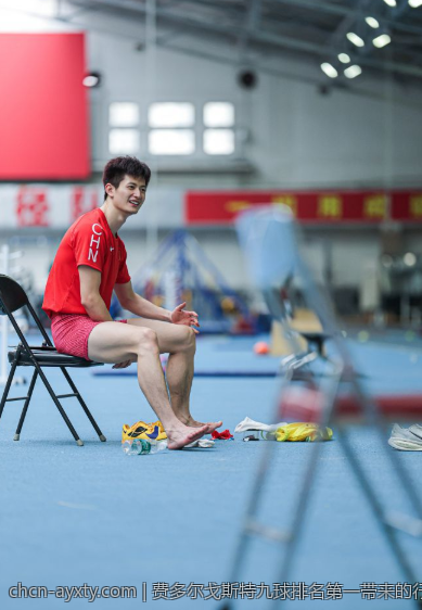 费多尔戈斯特九球排名第一带来的行业新变革