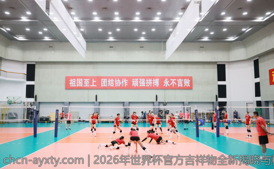 2026年世界杯官方吉祥物全新揭晓与精彩揭秘