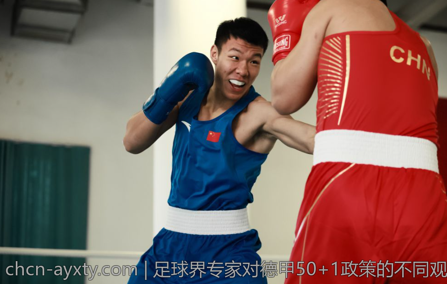 足球界专家对德甲50+1政策的不同观点与评论汇总