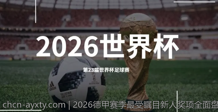 2026德甲赛季最受瞩目新人奖项全面盘点